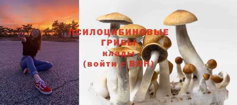 KRAKEN зеркало  Карасук  это какой сайт  Галлюциногенные грибы MAGIC MUSHROOMS 